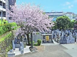 港区高輪 正源寺墓苑