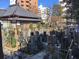 臨川山 厳浄院