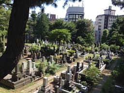 青山霊園と背後に都会のビル