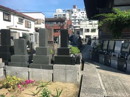 最徳寺