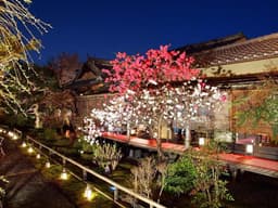 閑臥庵