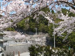 亀山霊苑