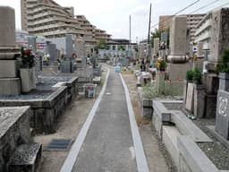 坪井共同墓地