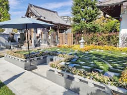 江東慈恩の庭